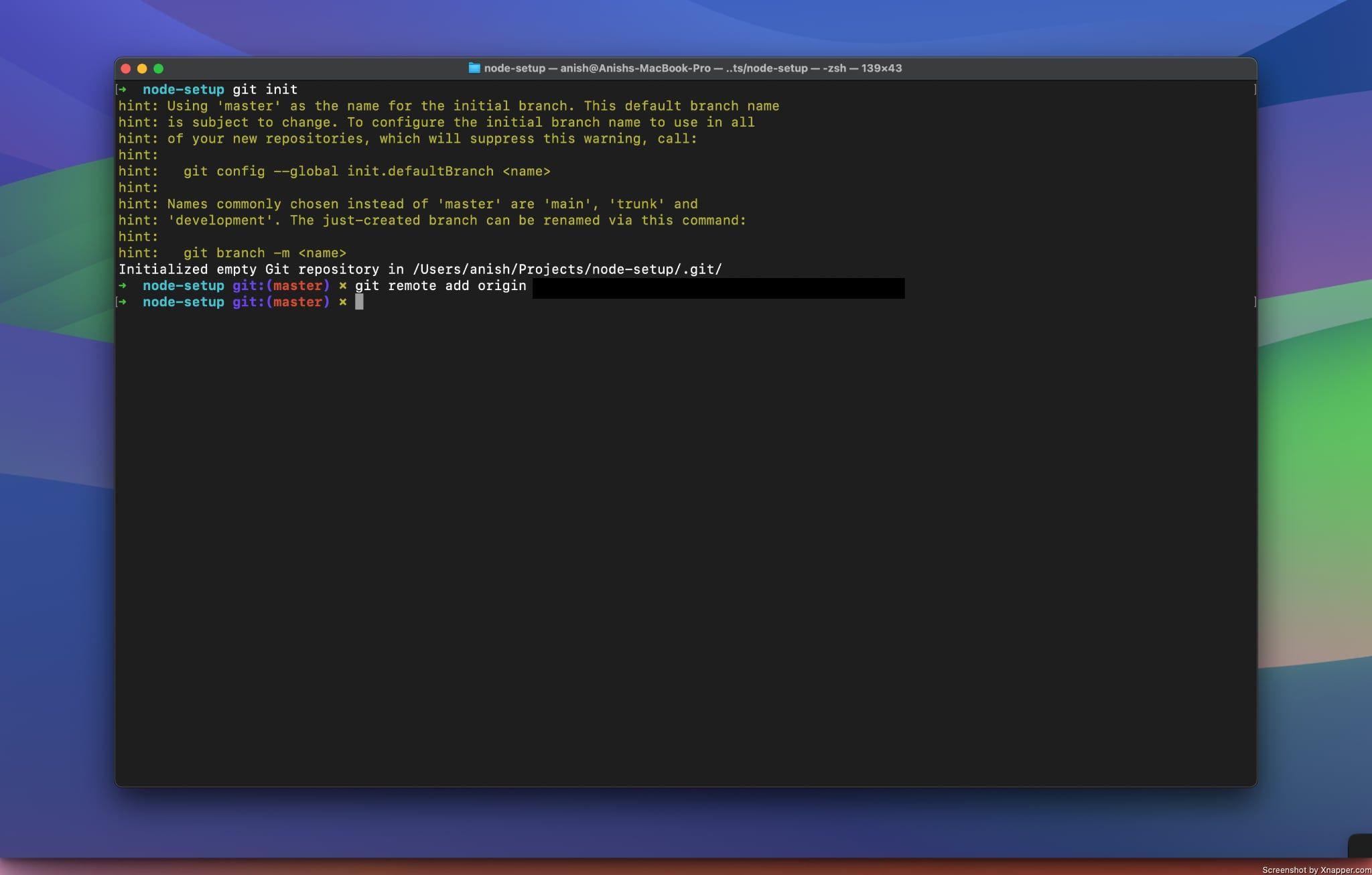 Initialize Git Repository